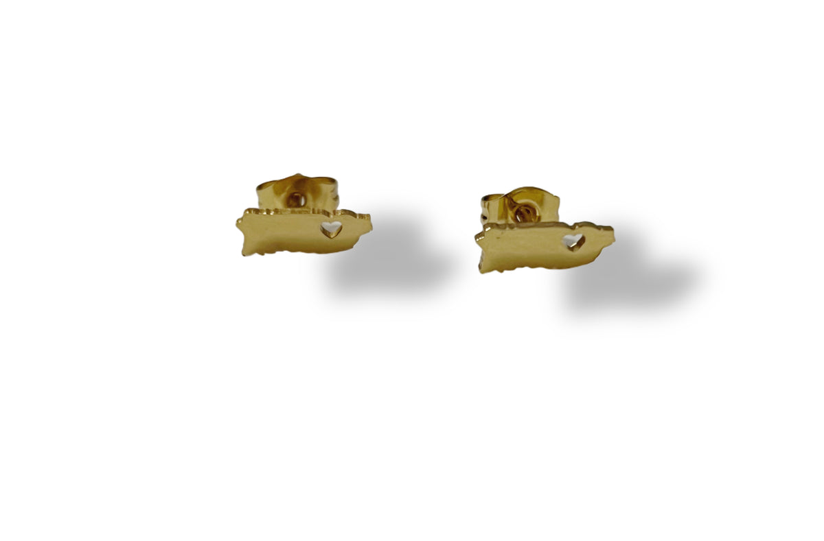 PR earrings