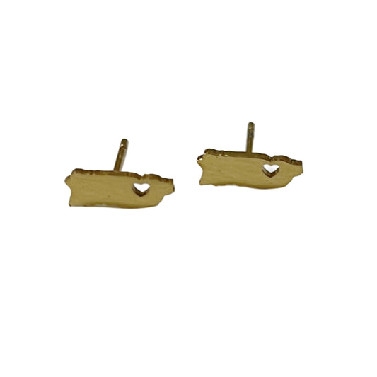 PR earrings