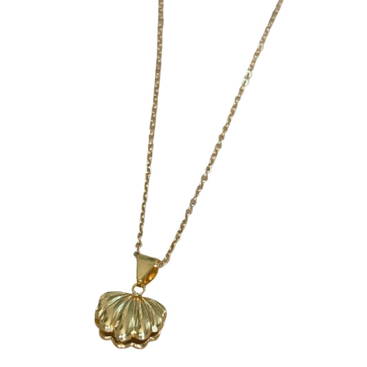 Shell Chain